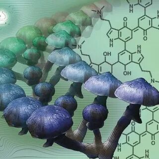 Как получить mushrooms