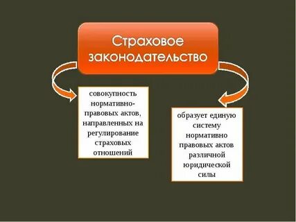 Страховое право 2023