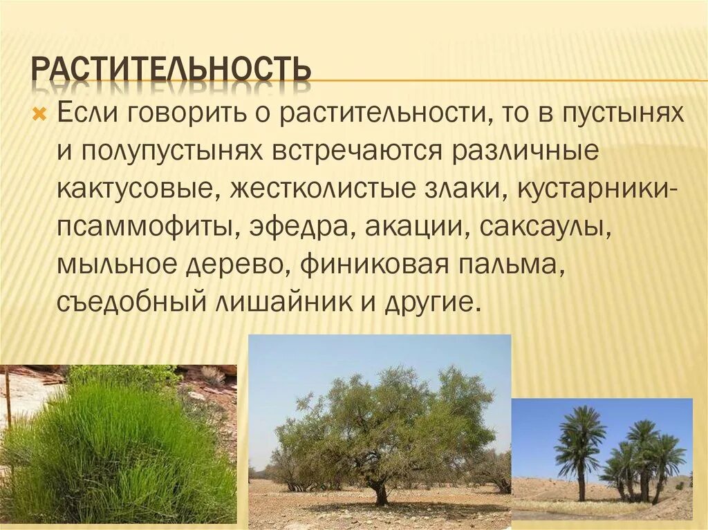 Объясните почему на берегах океанов возникают пустыни