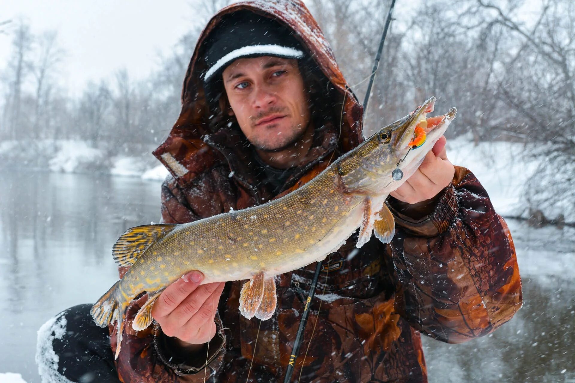 Скоро 23 февраля рыба. Brycon hilarii. С 23 февраля рыбаки. С днем защитника отечества рыбаки. Рыбацкая 23.