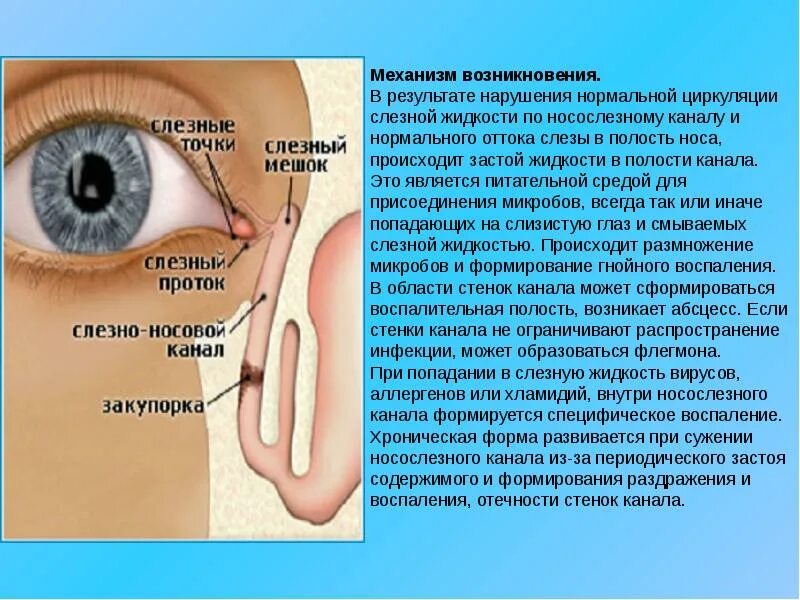 Закупорка слезных каналов зондирование. Анатомия глаза слезный мешок. Строение слезного мешка канала. Носослезный мешок анатомия. Носослезный мешок анатомия.