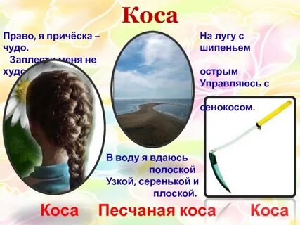 За песчаной косой