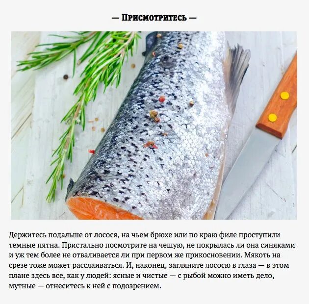 Белочешуйный лосось 3.3 5