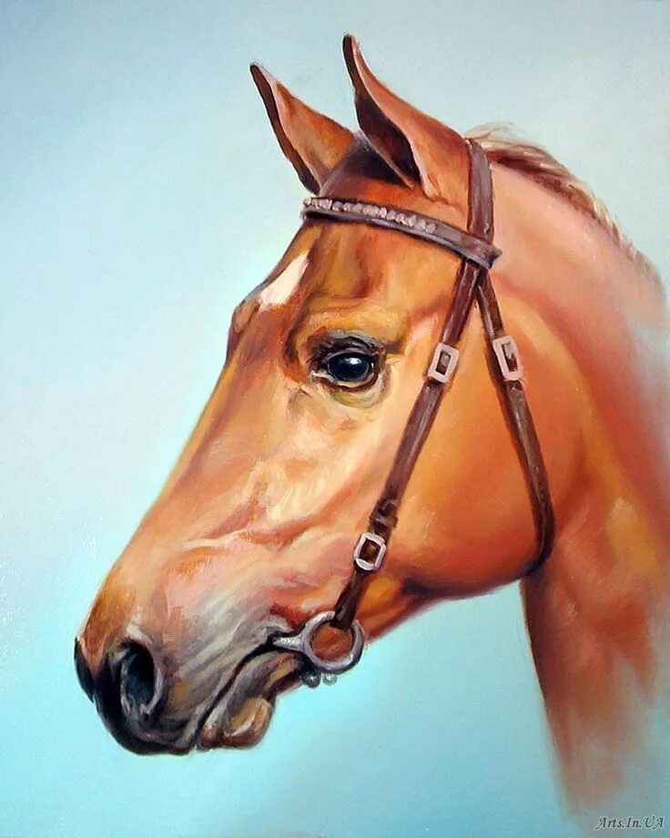 Морда лошади арт. Портрет лошади цветными карандашами. Рисование лошадей пастелью. Лошадь рисунок цветной. Карандаши цветные "животные".