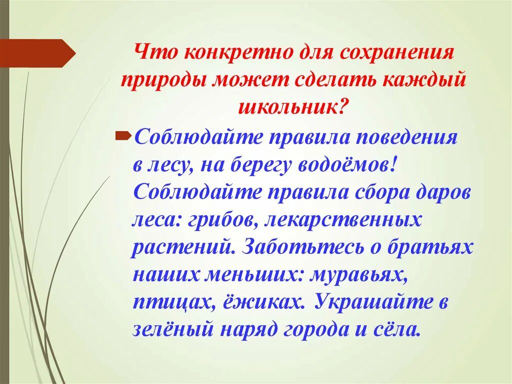 Что нужно делать для сохранения природы. Что можно сделать для сохранения природы. Что должен сделать человек для сохранения природы. Правило для сохранения природы. Вопросы защиты и сохранения