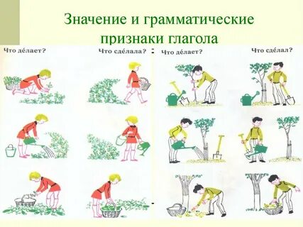 Глагол грамматические