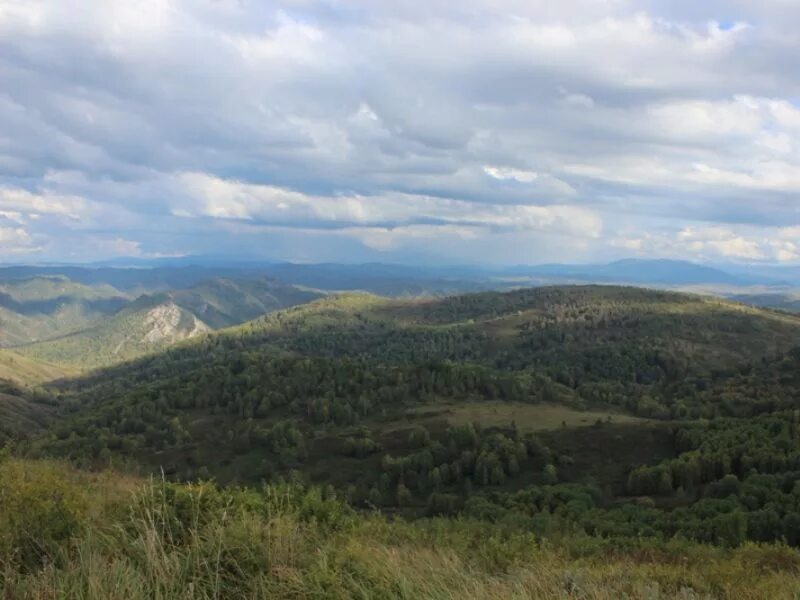 Погода акимовка алтайский край краснощековский. Природа Краснощековского района Алтайского края. Березовка Краснощековский район Алтайский край. Чинета Краснощековского района Алтайского края. Чинетинский заказник Краснощековский.