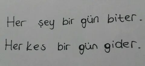 Her sey