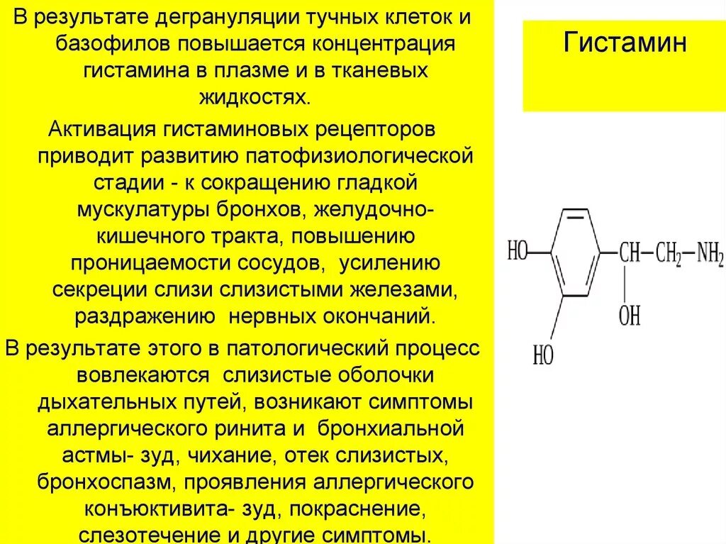 Гистамин. Что такое гистамин в организме. Гистамин гормон функции. Повышение секреции гистамина.