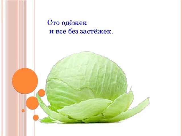 Загадку 100 одежек. Загадку 100 одежек