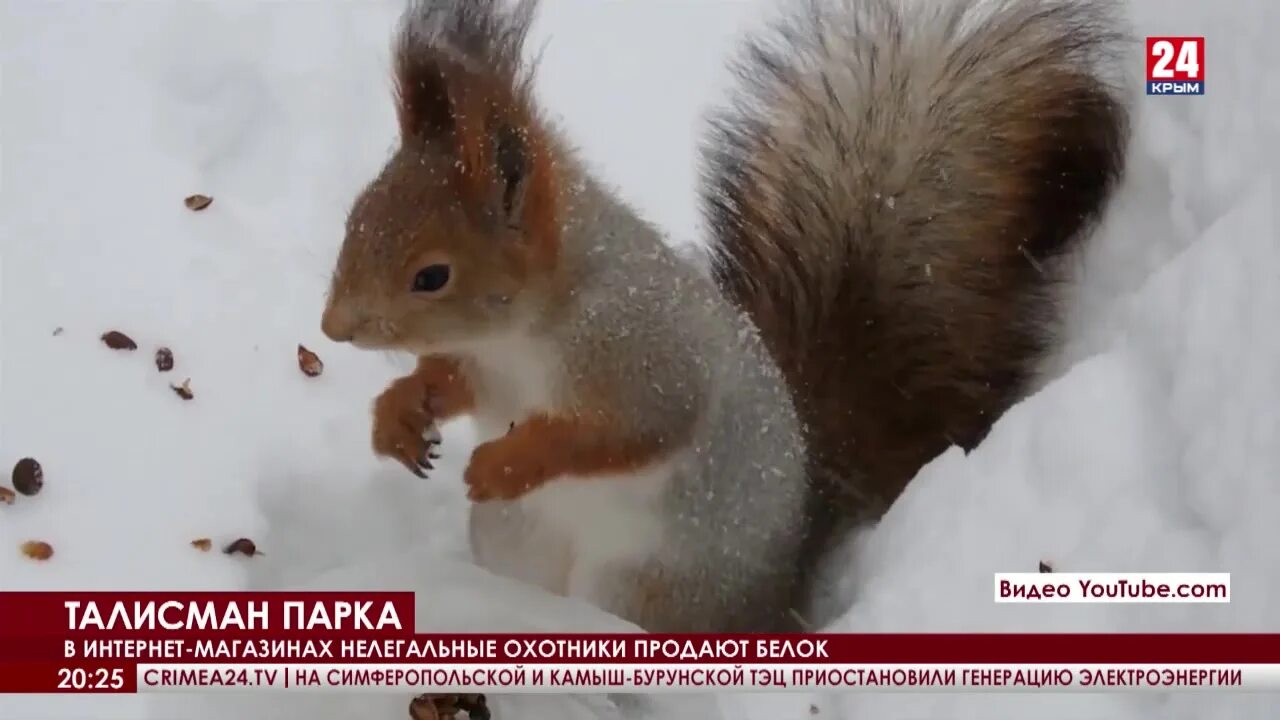 Куда девается белок