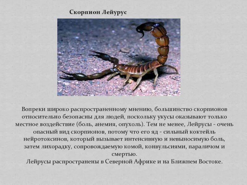 Широко распространенное мнение
