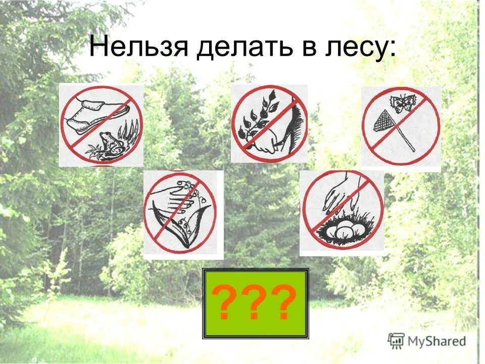 Что запрещается делать в лесу. Что нельзя делать в лесу. запрещающие знаки в лесу. знаки поведения в лесу. что нельзя нельзя делать в лесу.