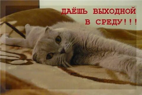 i?id=3921f8775bcabb2751e9a16ba3450f39dfba2e6f-12498917-images-thumbs&n=13