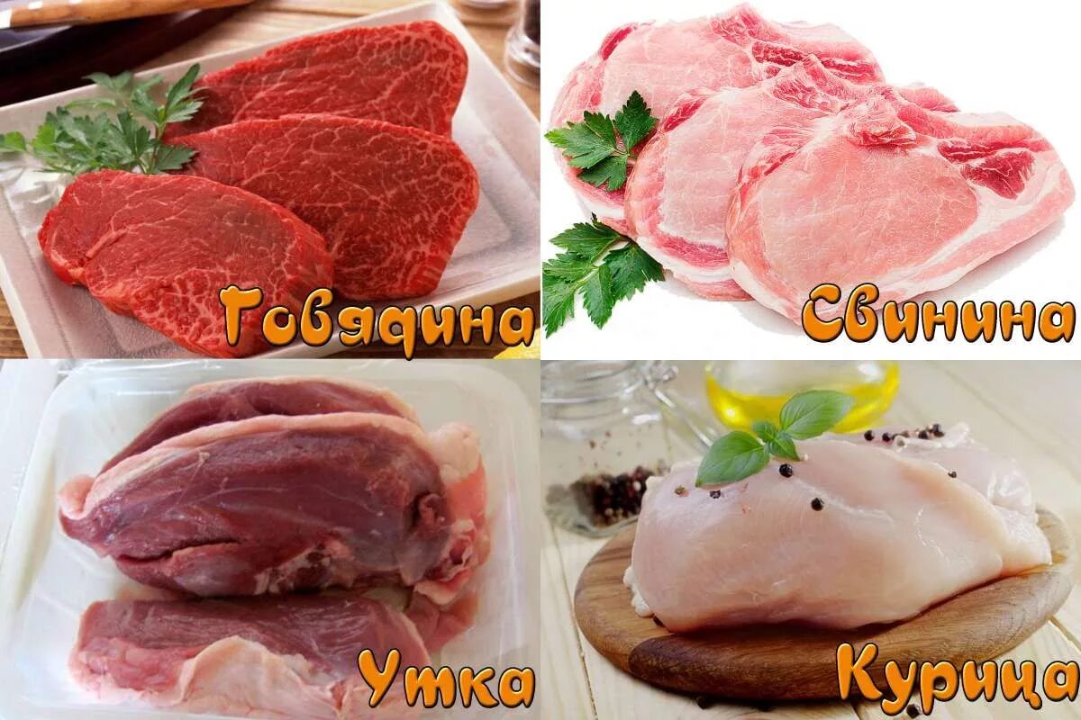 Свинина и говядина отличие. Различие говядины и свинины мяса. Мясо свинины и говядины отличие. Свинина и говядина разница.
