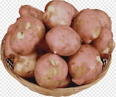Картофель розовый фламинго