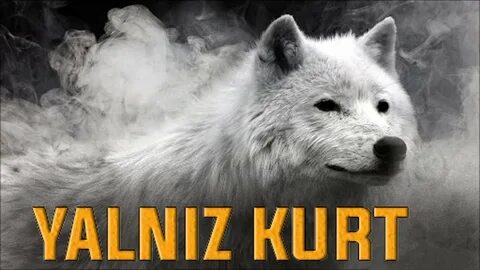 Канал белый волк
