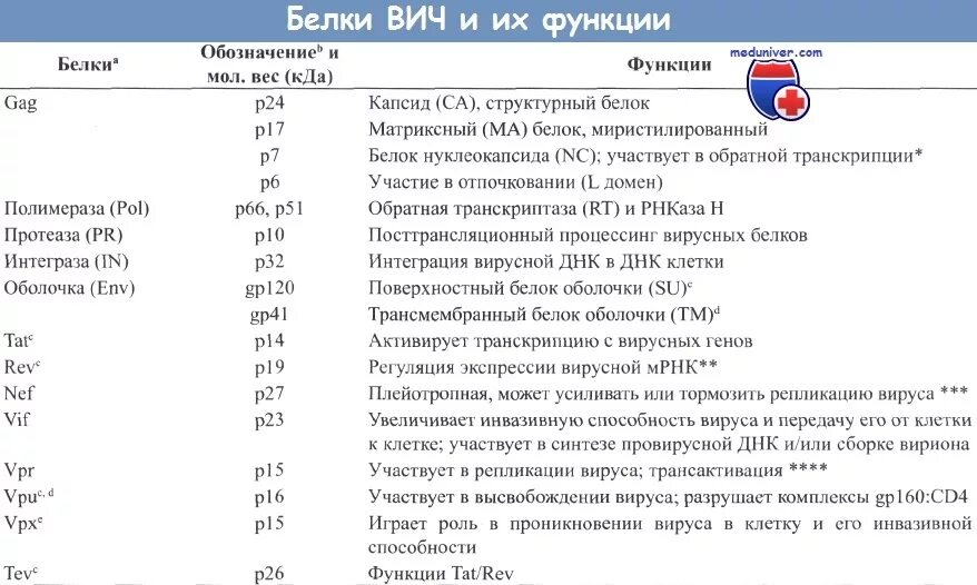 Вич вес. Функции структурных белков ВИЧ. Белки ВИЧ. К структурным белкам ВИЧ относят:. Специфические белки ВИЧ.