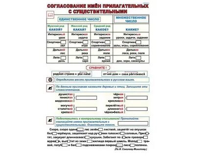 Согласование прилагательного с несколькими существительными