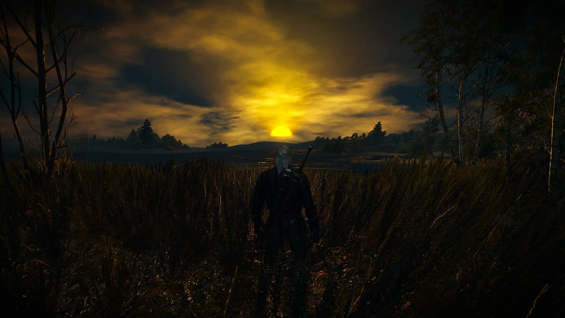 Witcher 3. The Witcher 3 Wild Hunt. Ведьмак 3 Дикая охота 2560 1080. Ночная охота Ведьмак. Ведьмак черный экран