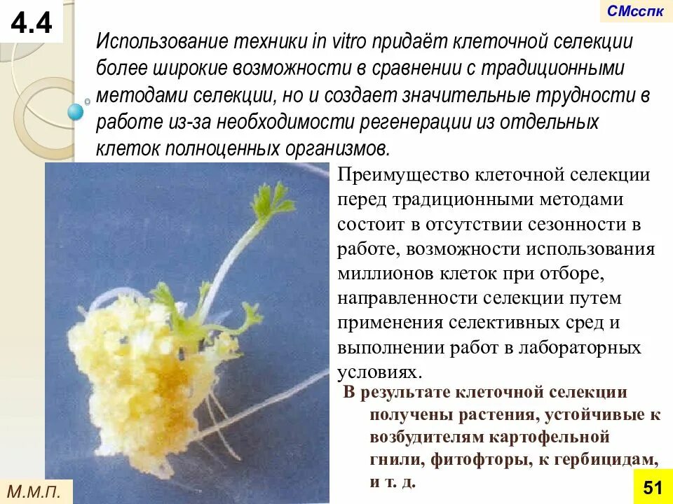 Клеточная инженерия в селекции. Клеточная селекция in vitro. клеточная инженерия в селекции растений. методы клеточной инженерии в селекции растений. клеточная инженерия растений презентация.