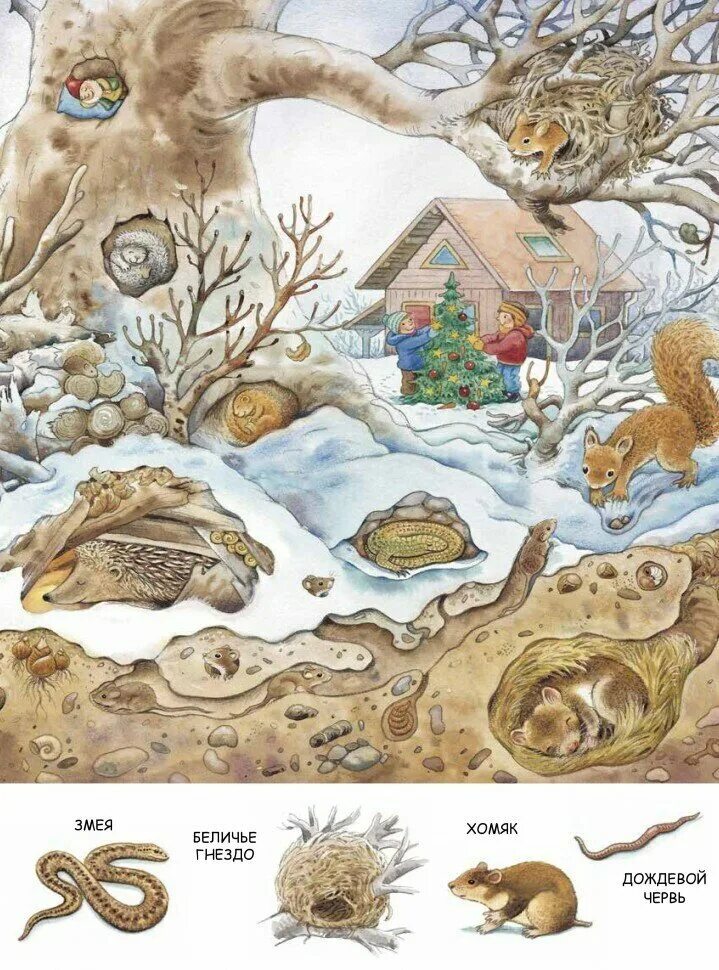 зима находилки развивалки