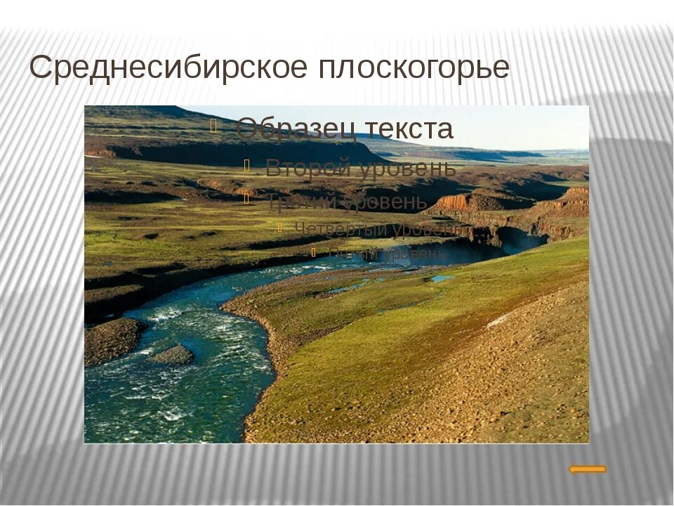 Среднесибирское плоскогорье почвы. Что такое Среднесибирское плоскогорье в географии. Среднесибирское плоскогорье климат. Среднесибирское плоскогорье 5 класс география. Лавовые покровы Среднесибирское плоскогорье.