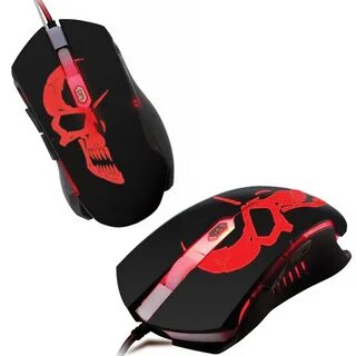 Qumo dragon