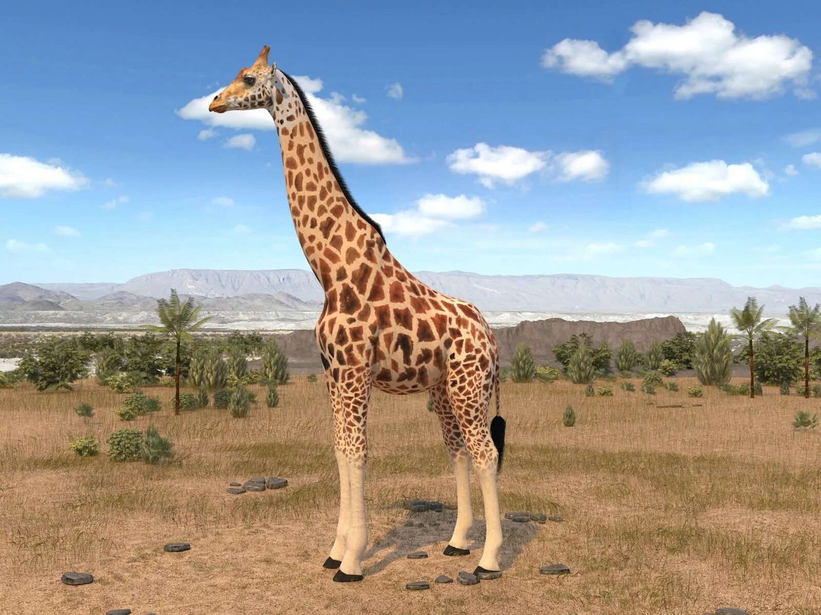 Мод на жирафа. Жираф 3d. Giraffe 3d model. Жираф Торникрофта. 3д модель жирафа.