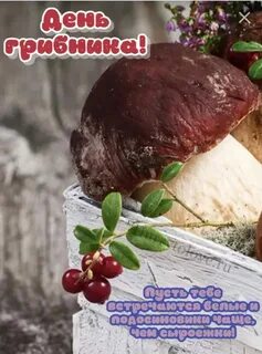 Когда будет день гриба