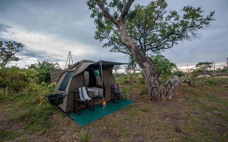 Okavango полный привод. Кепинг сафари. Кемпинг у реки. Кемпинги Танзания. Мобильный кемпинг.