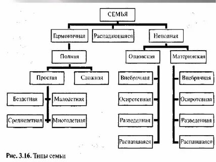 В зависимости от структуры родственных связей