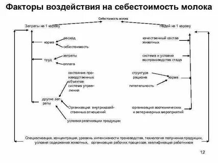 Структура и факторы себестоимости
