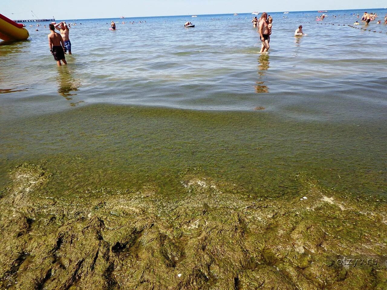 Анапа июнь 23. Море в Анапе в июне. Анапа пляж в июне. Витязево в июне. Море в Анапе в июне зазеленело.