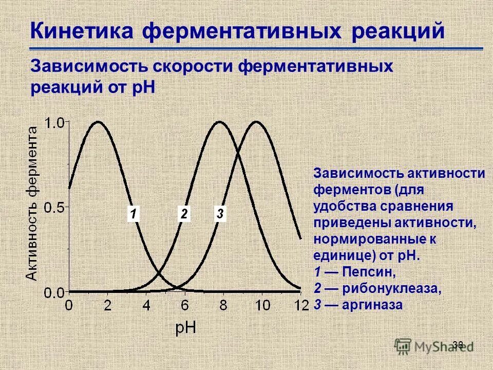 Зависимость активности ферментов от температуры