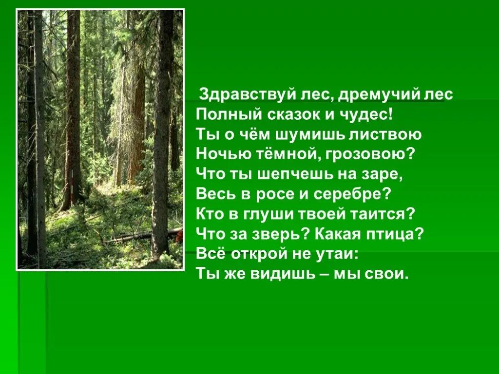 Лес презентация 4 класс плешаков. Рассказ о лесе. Жизнь леса презентация. Доклад про лес. Леса для презентации.