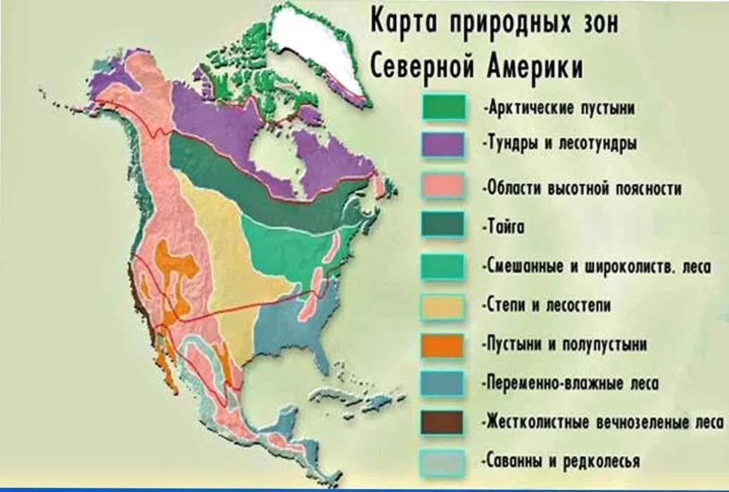 На севере материка природные зоны расположены