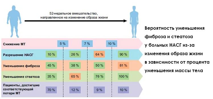 Hog гистограмма ориентированных градиентов. Снижение иконка. Фиброз печени шкала метавир фиброза печени. Сокращение расходов. Растровая графика изображение.