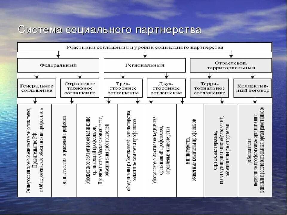 Укажите уровень системы социального партнерства. Уровни социального партнерства. Система социального партнерства. Соц партнерство в сфере труда. Первичный уровень социального партнерства.