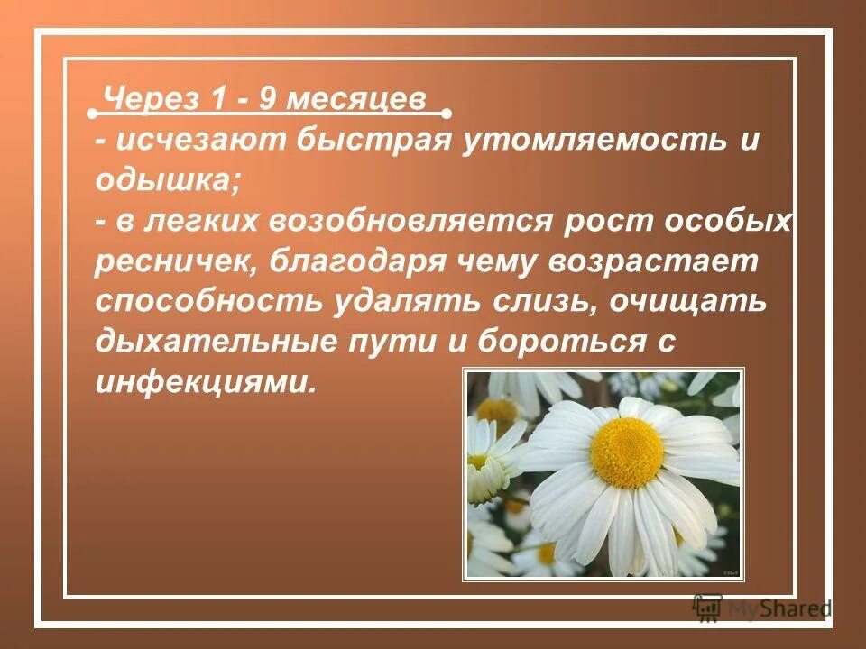 Пропадает быстрый. Пропадает быстрый. Быстрая зарядка xiaomi параметры. Пропадает быстрый. Подчеркивание в индизайне.