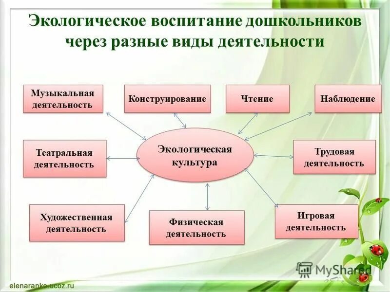 Экологическое воспитание дошкольников. Экологические вопитание. Экологическое воспитание схема. Экологическое воспитание это в педагогике.