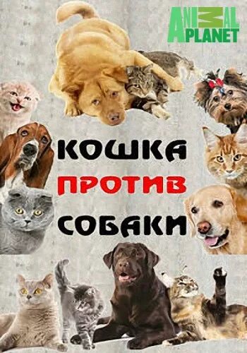 Cat in a dogs world. Кошка vs собака. Кошки против собак 1. Многосерийные Документалки о животных. Собачий психолог на Энимал планет.