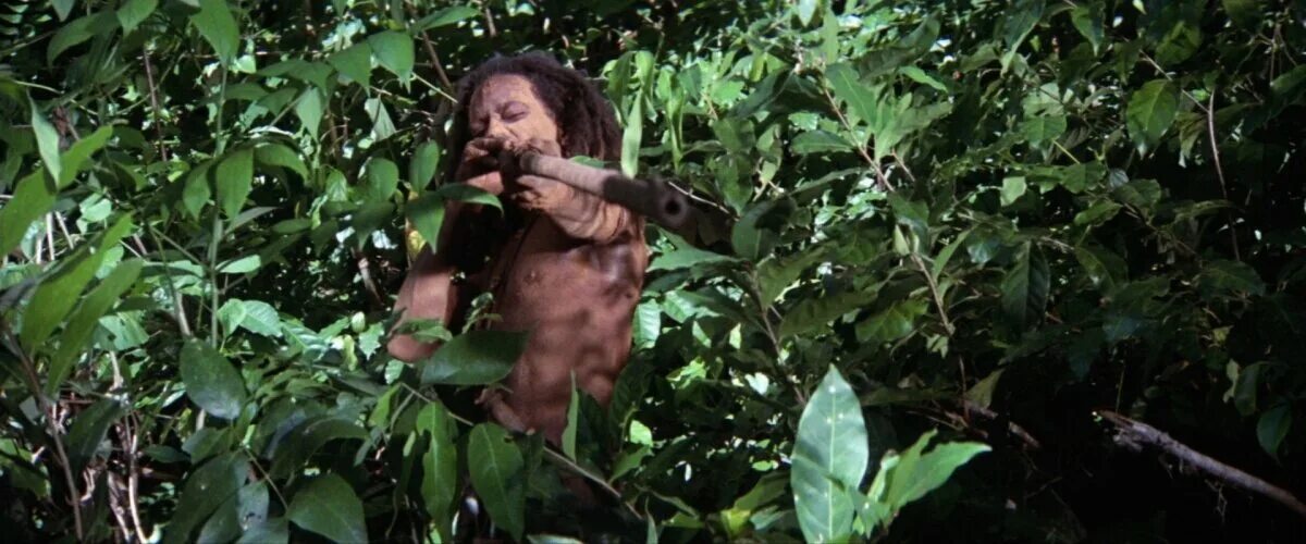 гир мотылек. мотман (человек-мотылек). человек мотылек существо. гир мотылек. мотман (человек-мотылек).