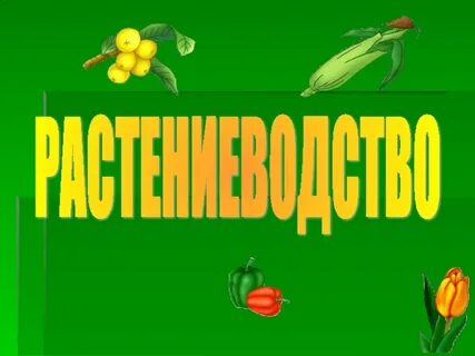 Растениеводство 6 класс технология презентация