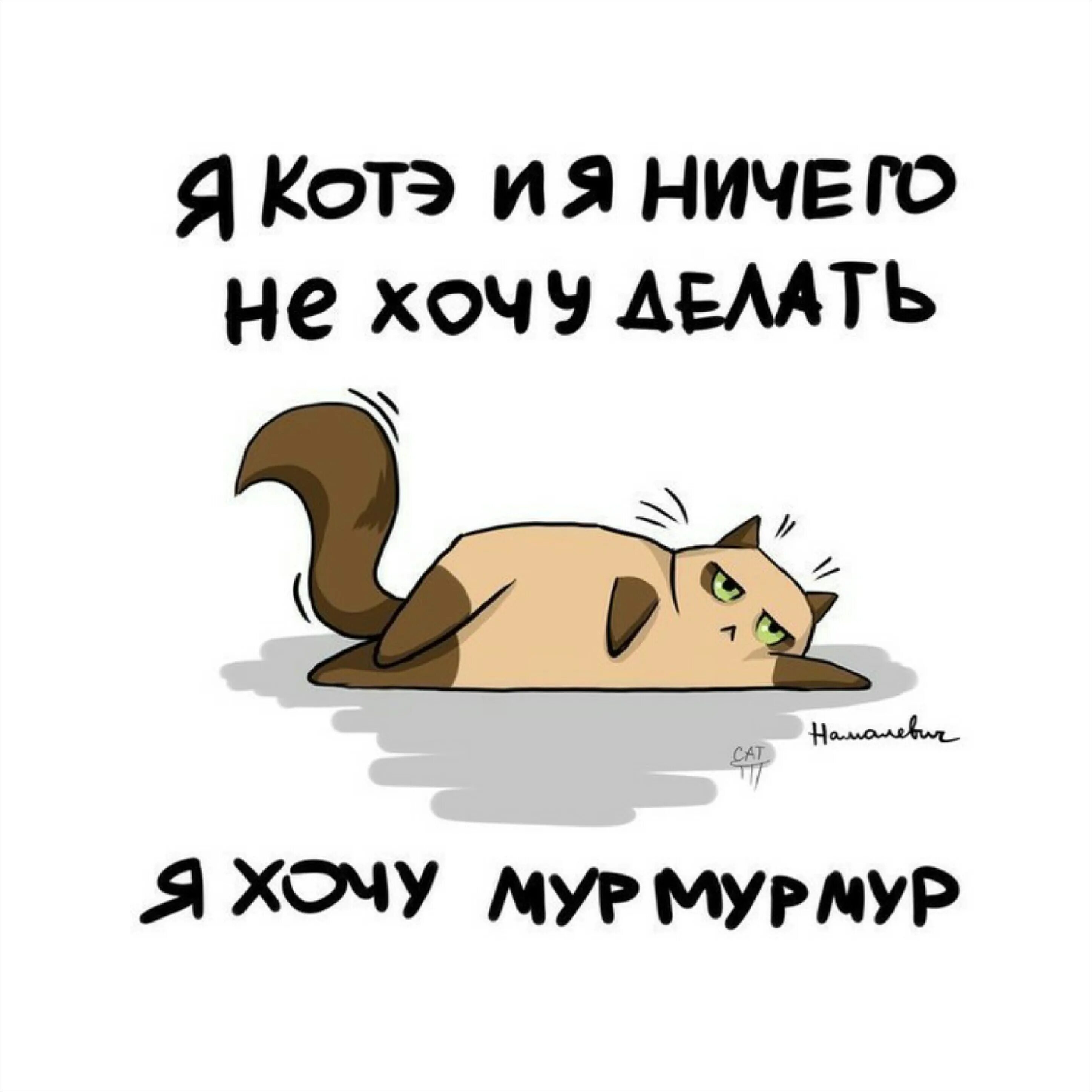 Состояние ничего не хочу. Мур Мур.