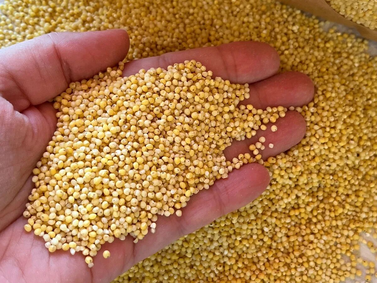 Пшено оптом