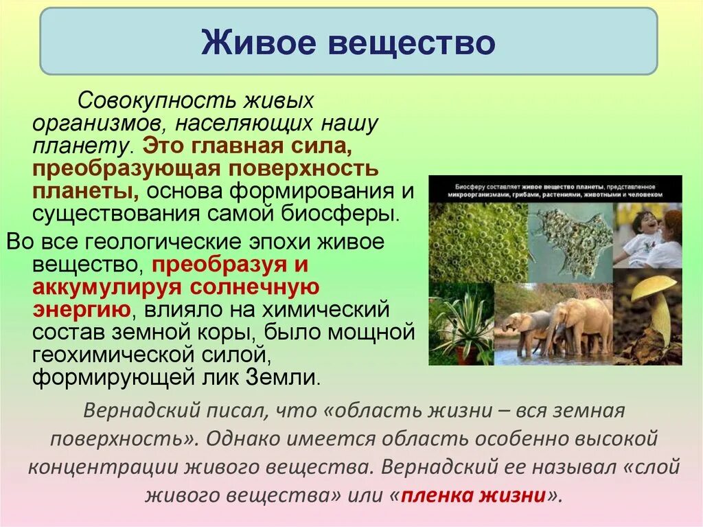 Живые организмы в биосфере. Живые организмы (живое вещество).. Биосфера животные. Мир живых организмов.