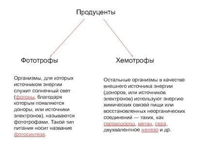 Примеры хемотрофов