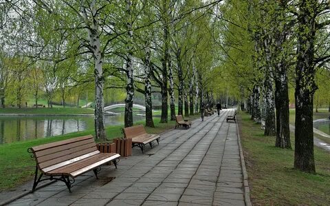 Березовый парк москва