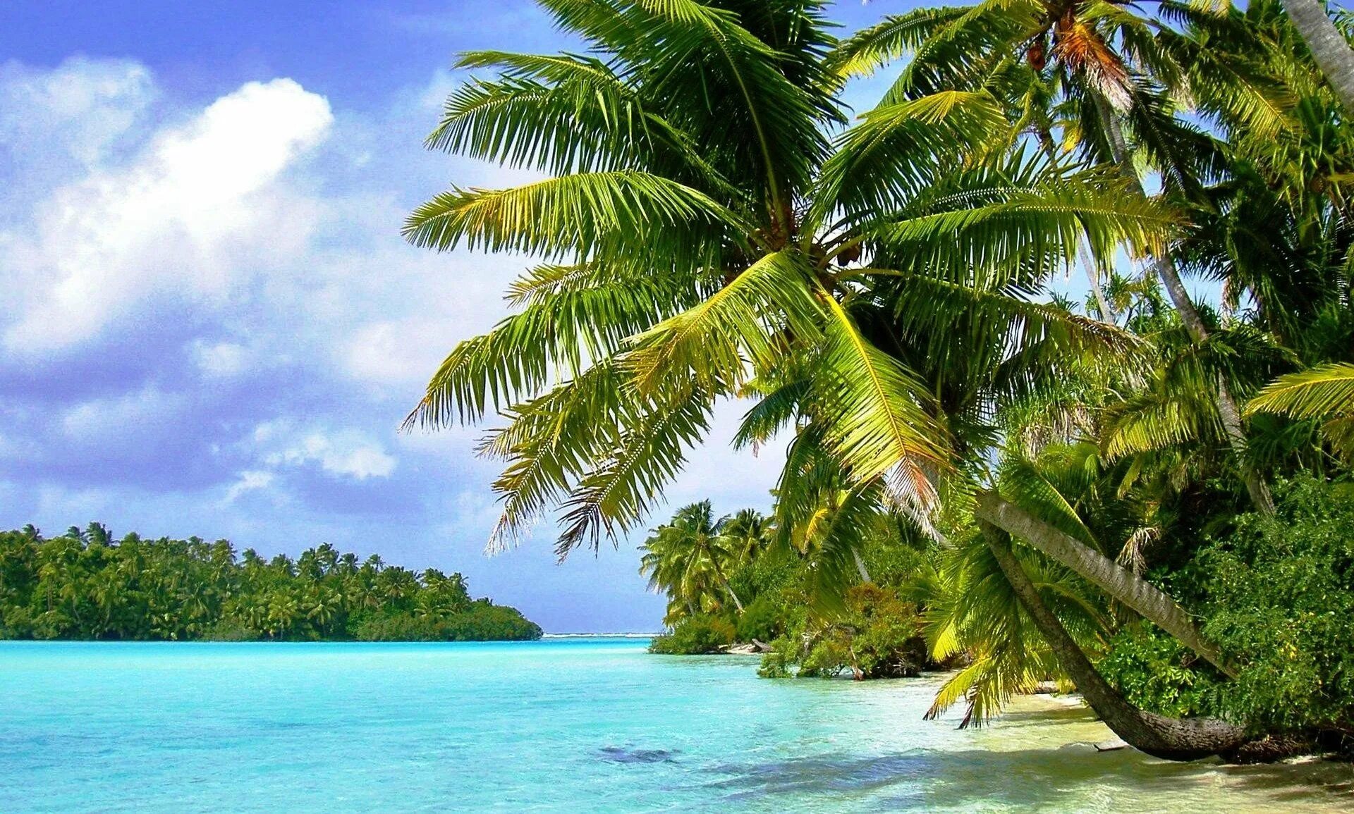 Тропикал Айленд. Пальмы и океан. Остров Саона голубая Лагуна. Голубая Лагуна Саона Доминикана.
